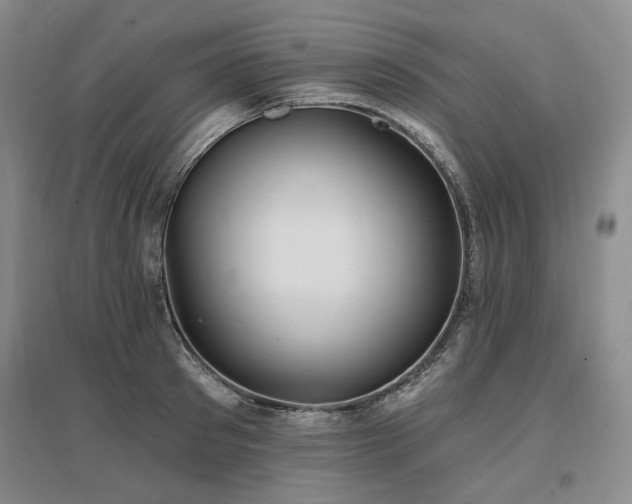 X0000097490897200802221413