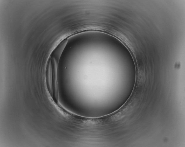 X0000097490898200802221413