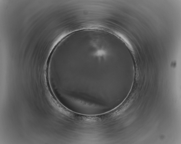 X0000097490899200802221413