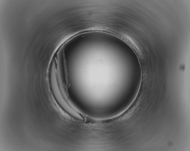 X0000097490900200802221413