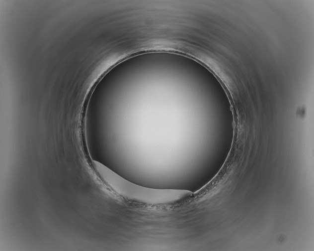 X0000097490901200802221412