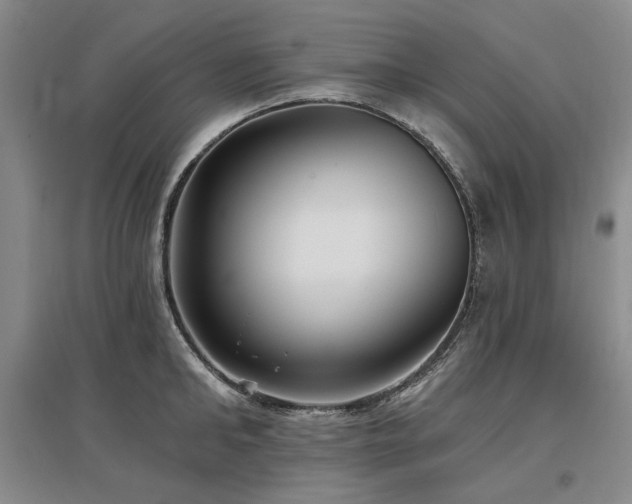 X0000097490902200802221412