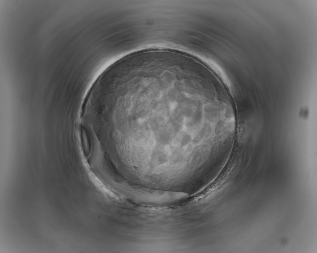 X0000097490903200802221412