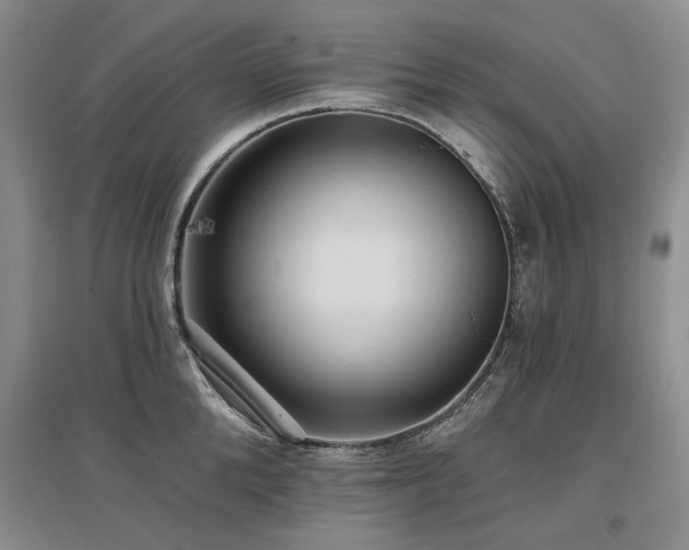 X0000097490904200802221412