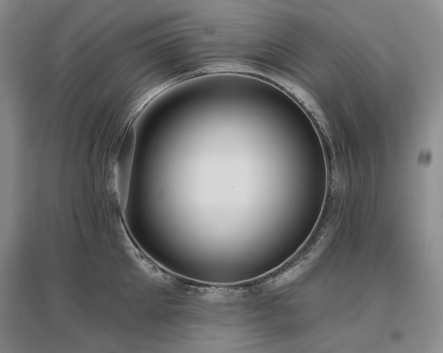 X0000097490905200802221412