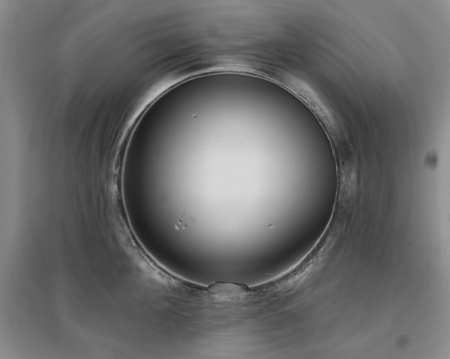X0000097490908200802221412