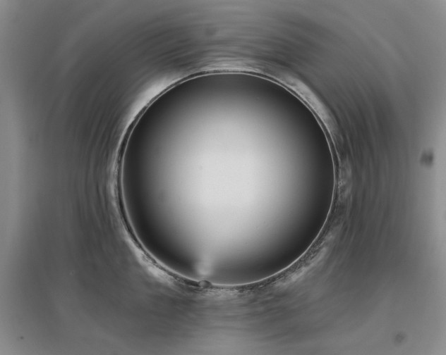 X0000097490909200802221412