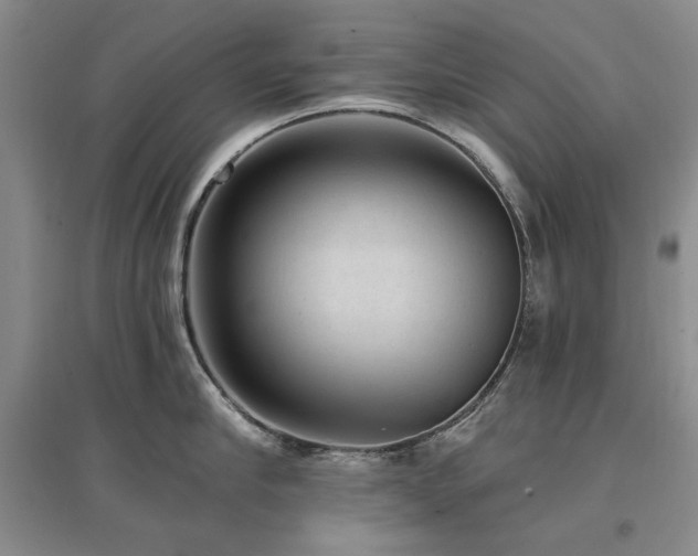 X0000097490910200802221412