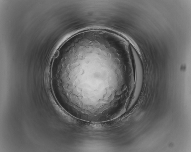 X0000097490911200802221412