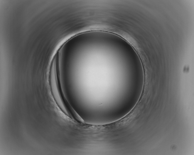 X0000097490912200802221412