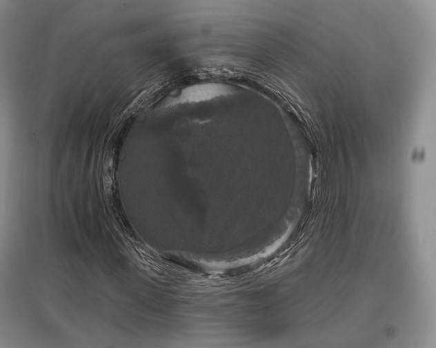 X0000097490915200802221412