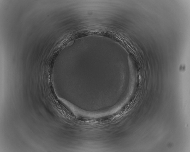 X0000097490916200802221412