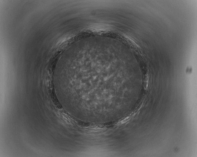 X0000097490917200802221412