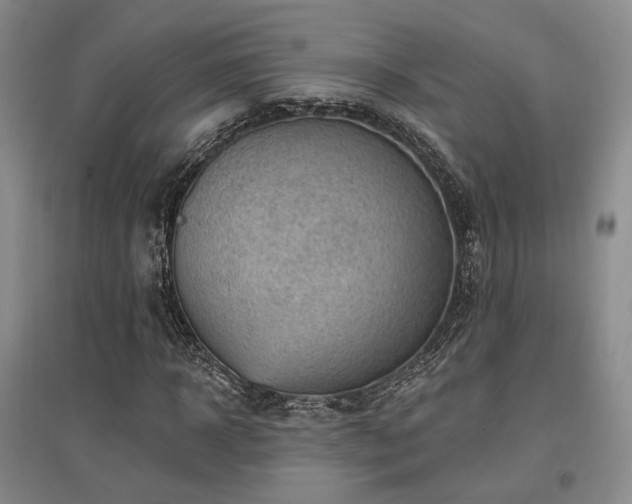 X0000097490918200802221412