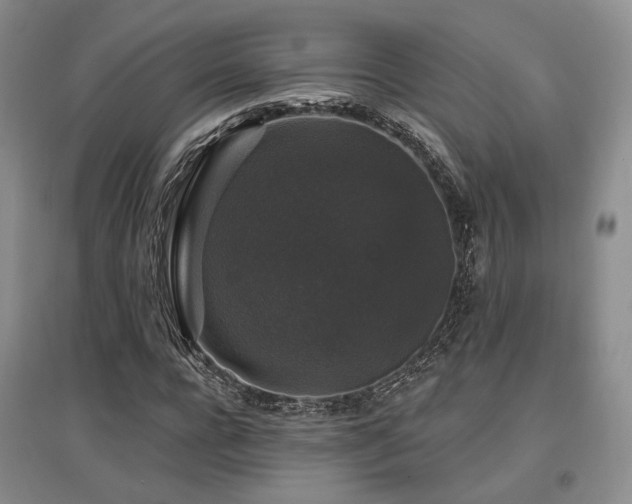 X0000097490920200802221412