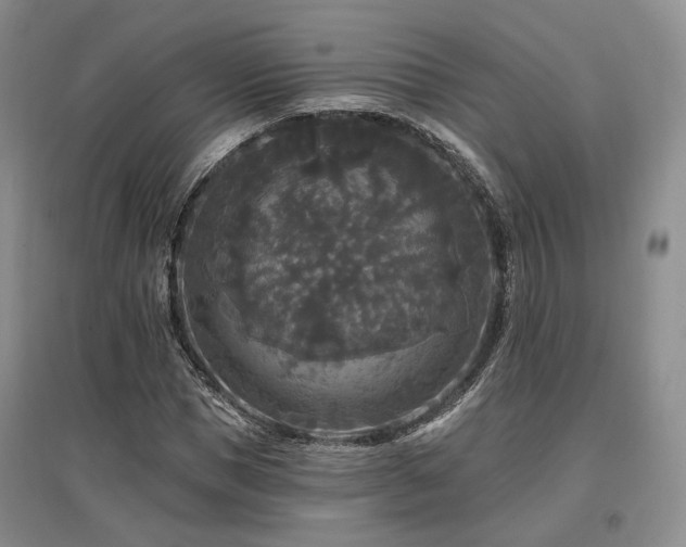 X0000097490921200802221412