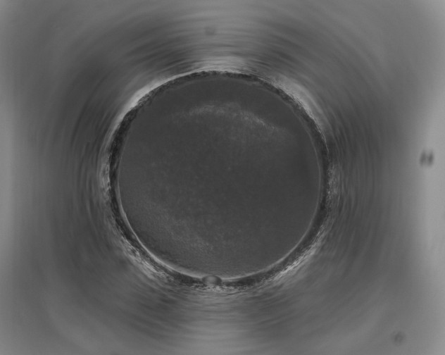 X0000097490923200802221412