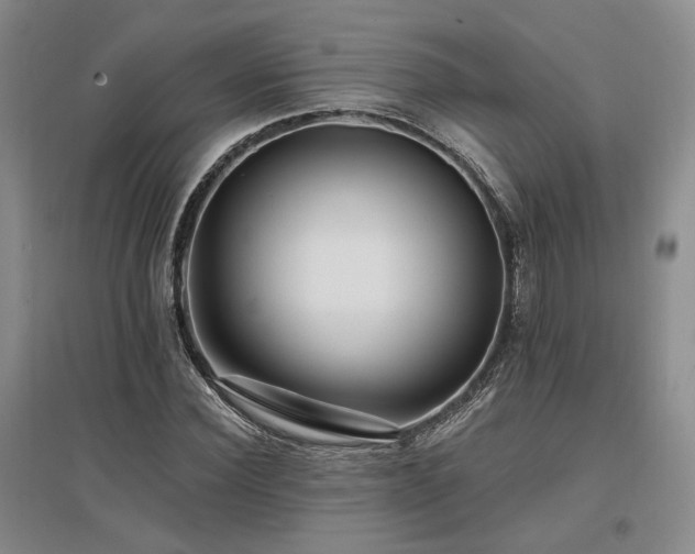 X0000097490924200802221412