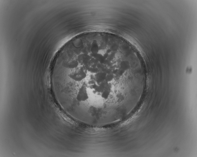 X0000097490925200802221412