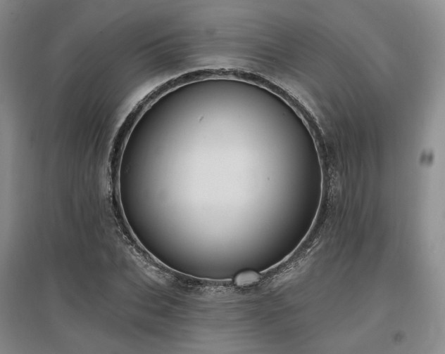 X0000097490927200802221412