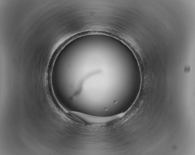 X0000097490928200802221412