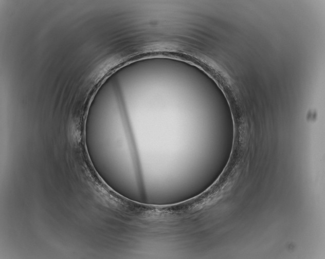 X0000097490929200802221412