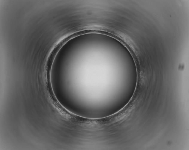 X0000097490931200802221412