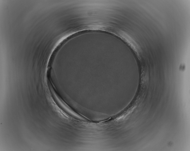 X0000097490932200802221412