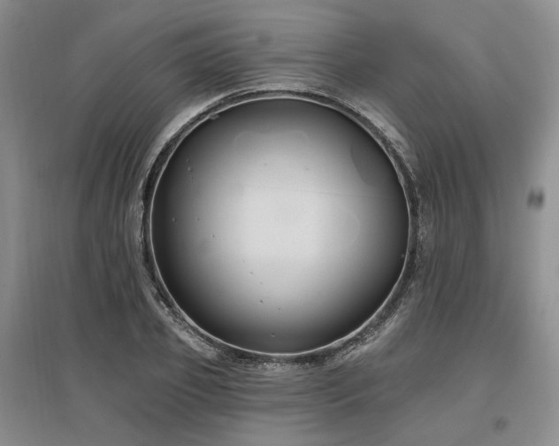 X0000097490933200802221412