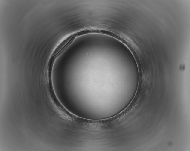 X0000097490934200802221412