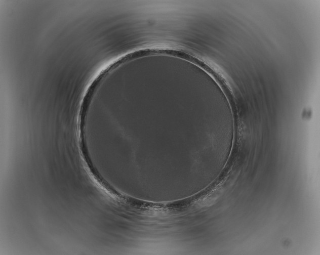 X0000097490935200802221412