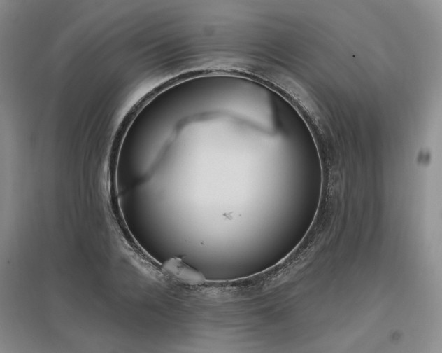 X0000097490936200802221412