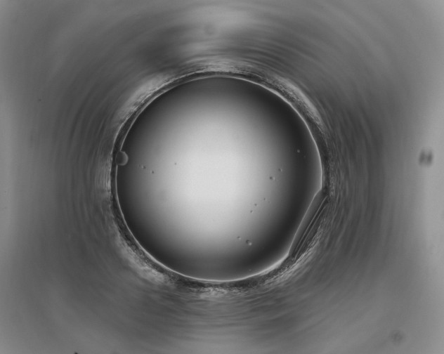 X0000097490938200802221412