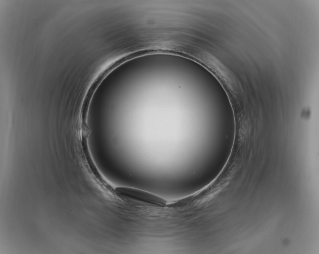 X0000097490940200802221412