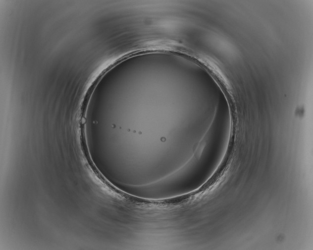 X0000097490941200802221412