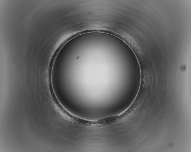 X0000097490942200802221412
