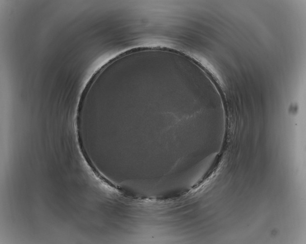 X0000097490943200802221412