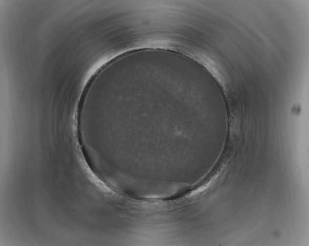 X0000097490944200802221412