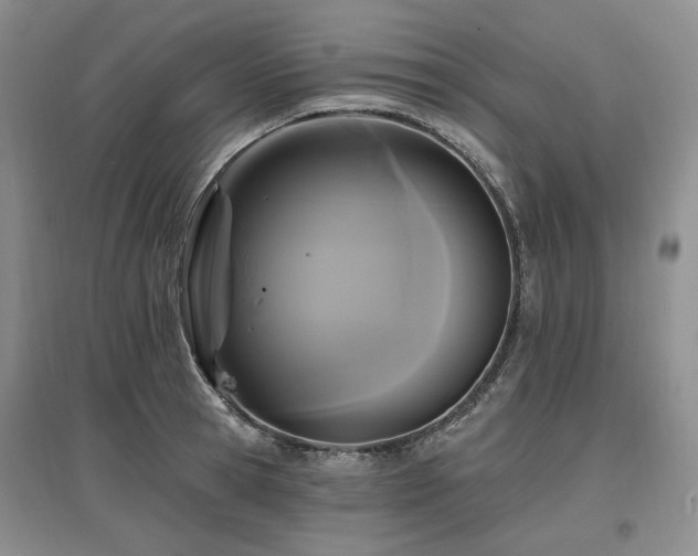 X0000097490945200802221412