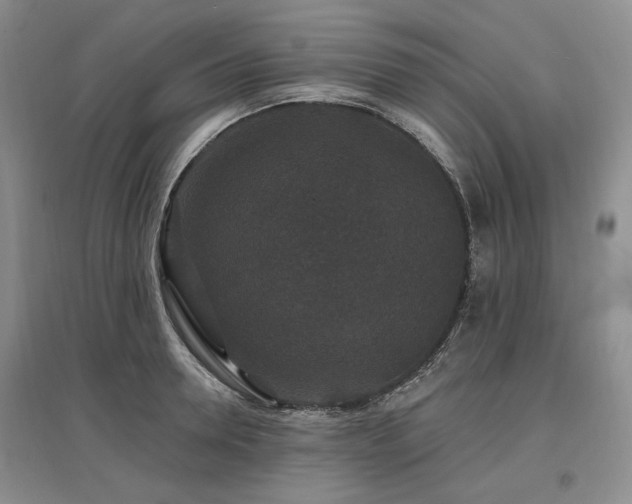 X0000097490946200802221412