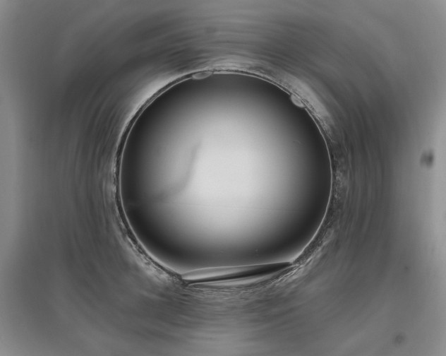 X0000097490948200802221412