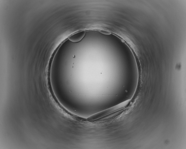 X0000097490949200802221412