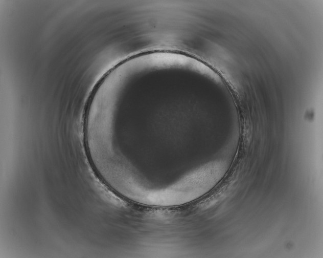 X0000097490950200802221412