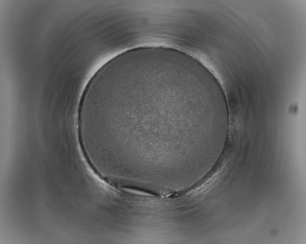 X0000097490951200802221412