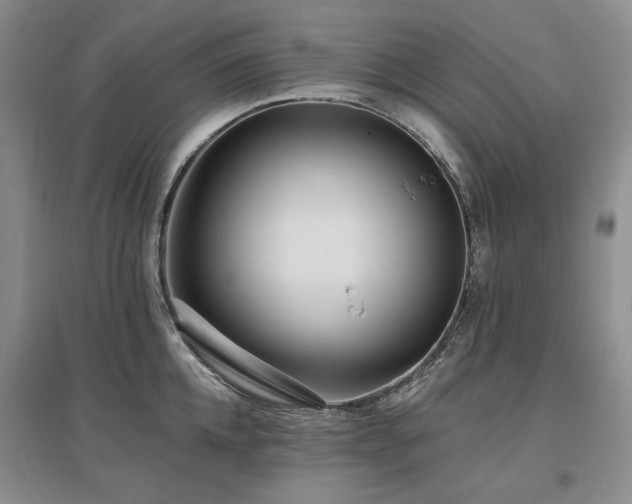 X0000097490952200802221412