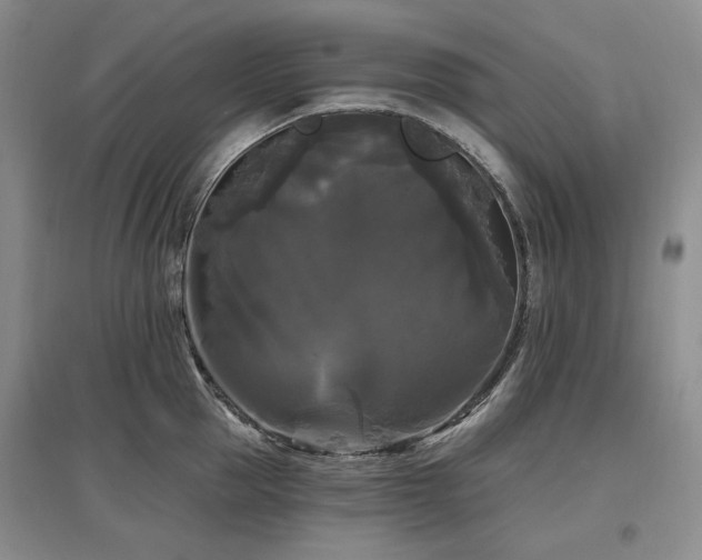 X0000097490953200802221412