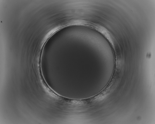 X0000097490954200802221412