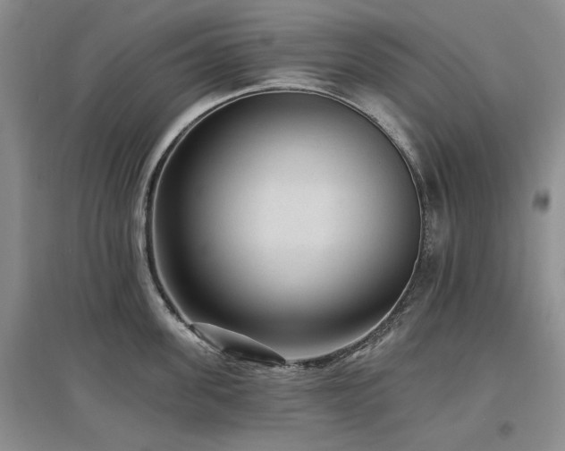 X0000097490955200802221412