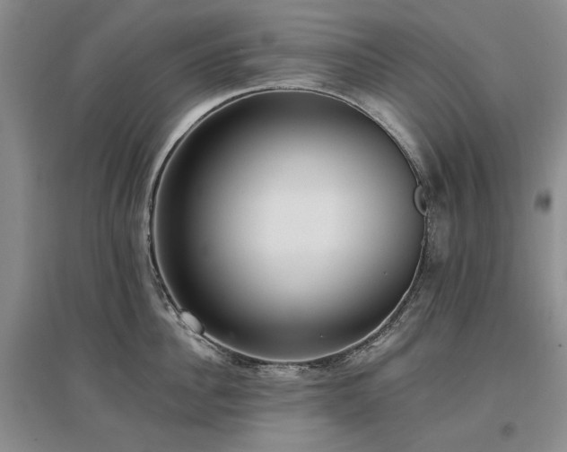 X0000097490956200802221412