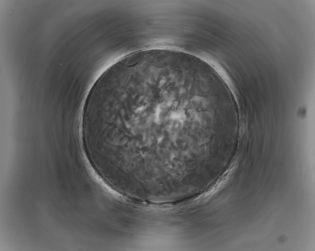 X0000097490957200802221412